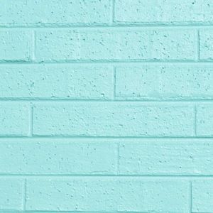 Meet your Posher, Abigail